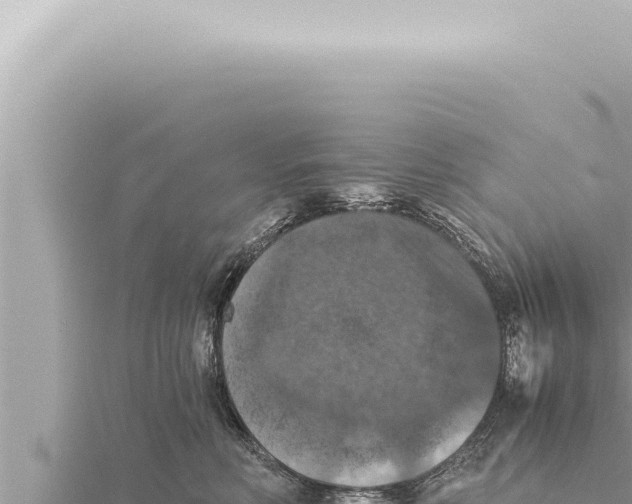 X0000115410618200912011227