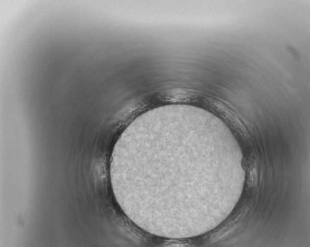 X0000115410620200912011227