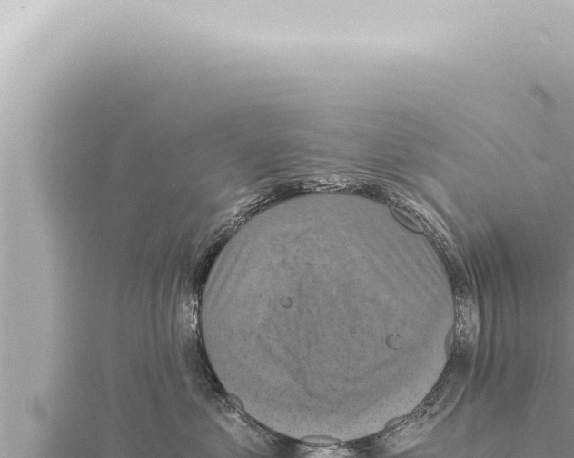 X0000115410621200912011226