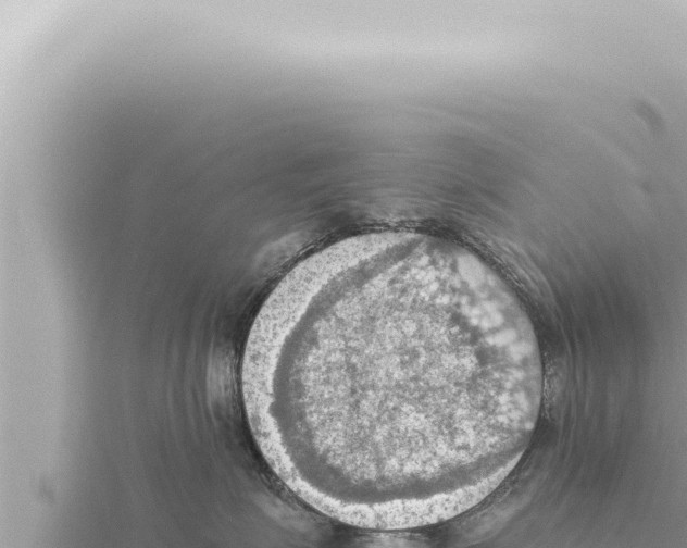 X0000115410623200912011226