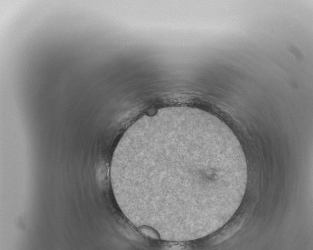 X0000115410624200912011226