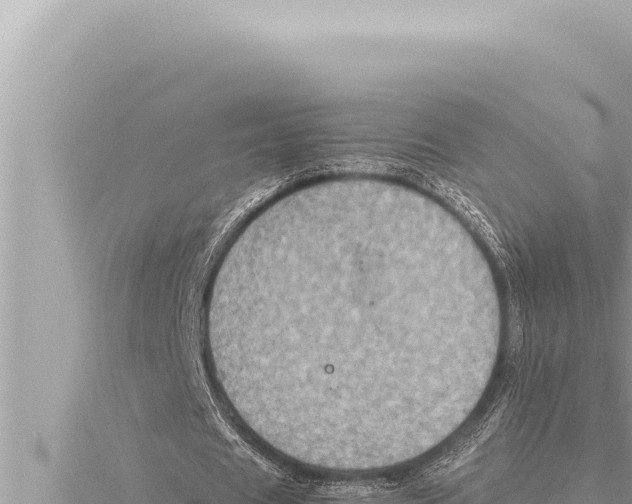 X0000115410625200912011226