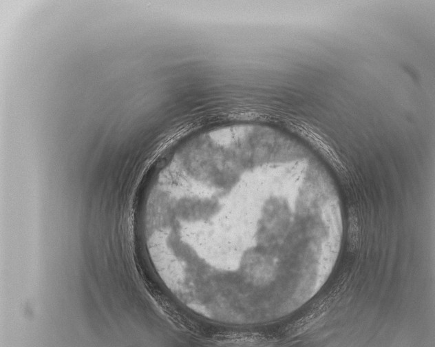 X0000115410626200912011226