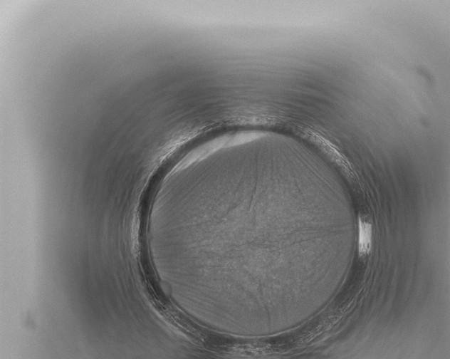 X0000115410627200912011226