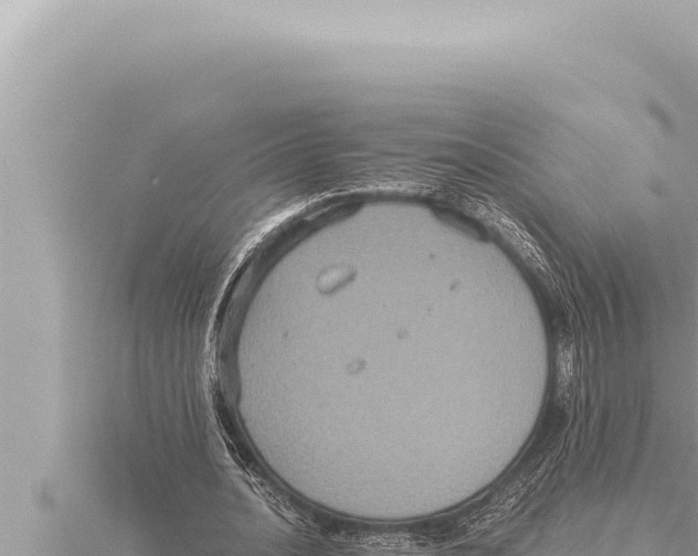 X0000115410628200912011226