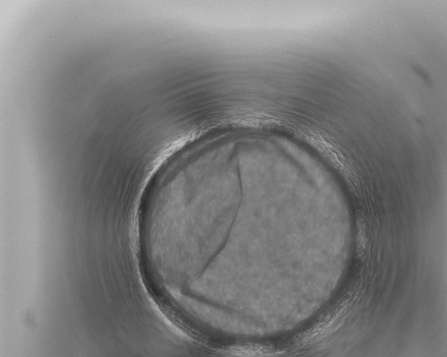 X0000115410630200912011226