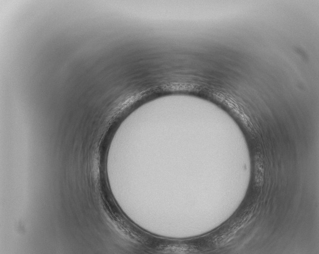 X0000115410631200912011226