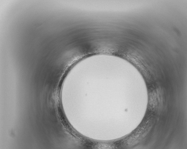 X0000115410632200912011226