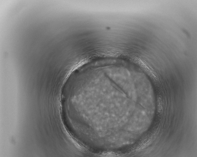 X0000115410634200912011226