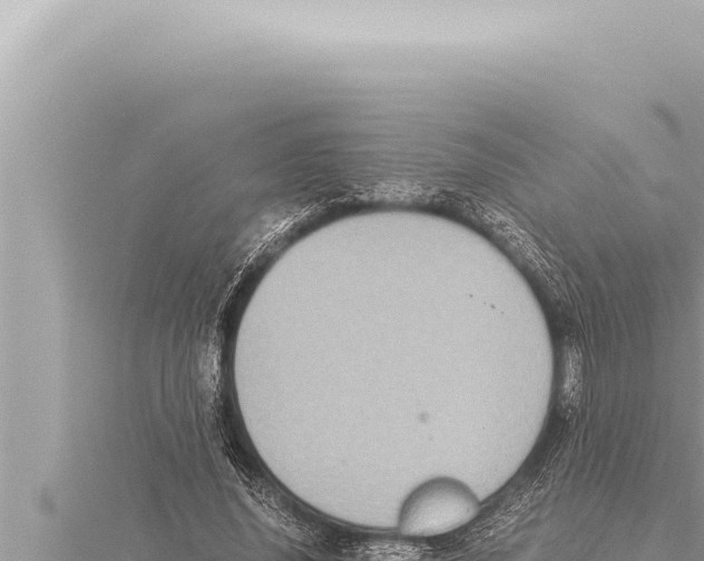 X0000115410636200912011226