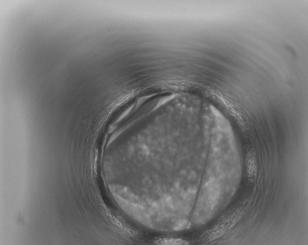 X0000115410637200912011226