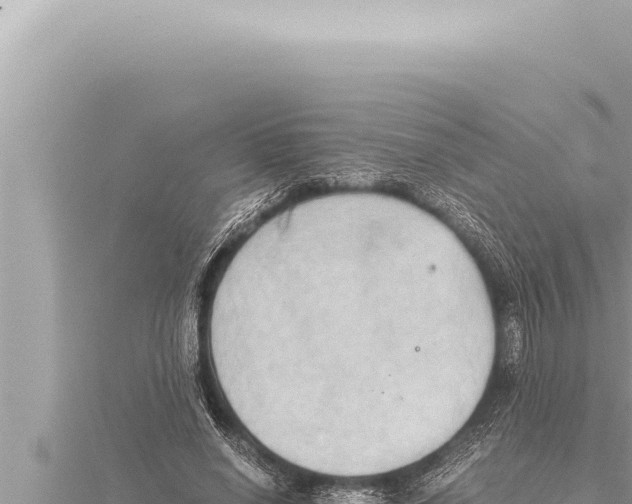 X0000115410638200912011226