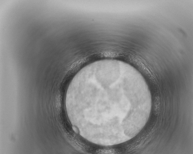 X0000115410639200912011226