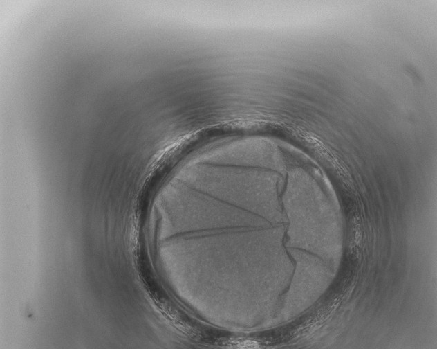 X0000115410640200912011226