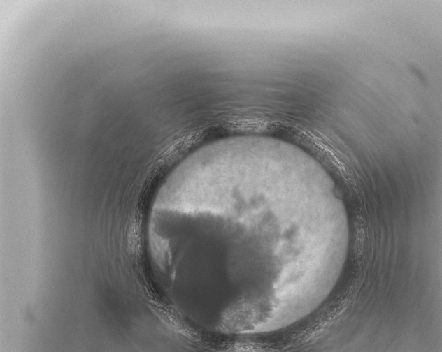 X0000115410641200912011226