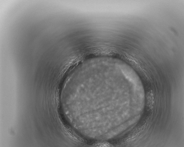 X0000115410642200912011226