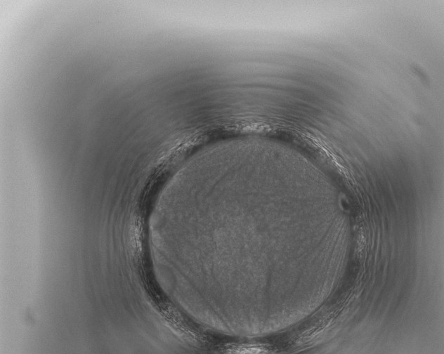 X0000115410643200912011226