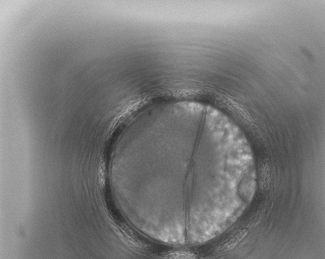 X0000115410644200912011226