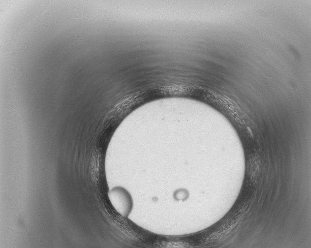 X0000115410645200912011226