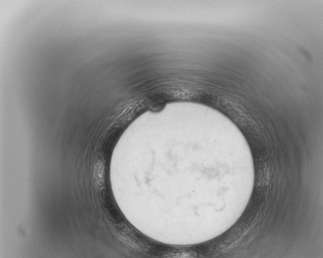 X0000115410646200912011226