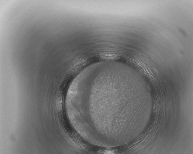 X0000115410647200912011226