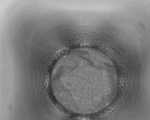 X0000115410648200912011226