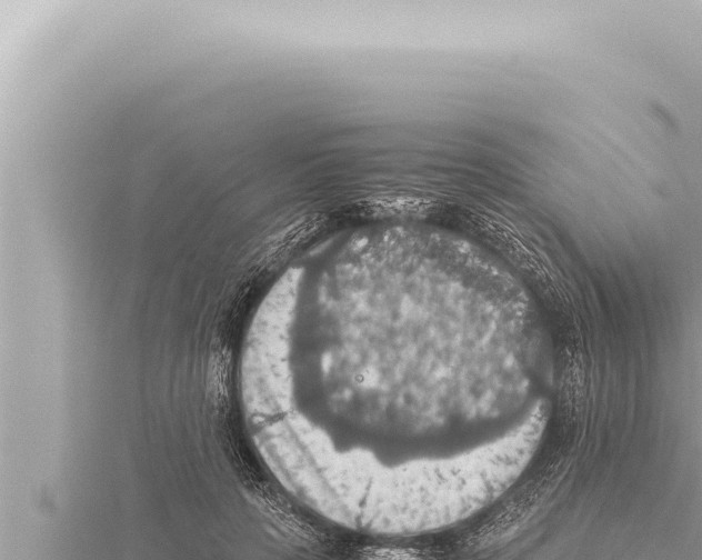 X0000115410649200912011226