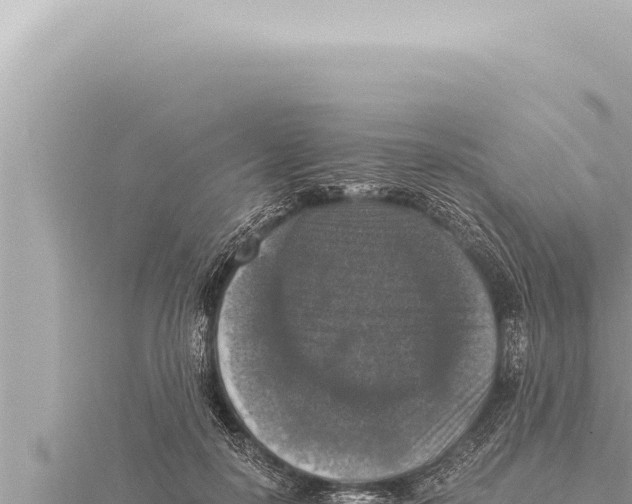 X0000115410650200912011226