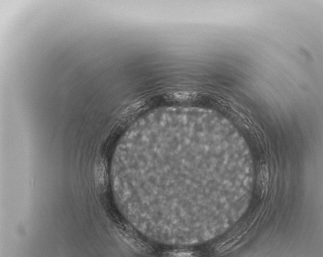 X0000115410651200912011226