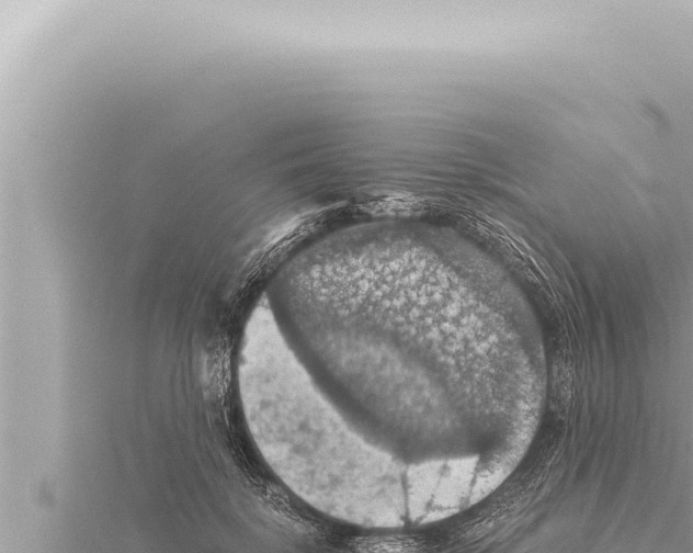 X0000115410652200912011226