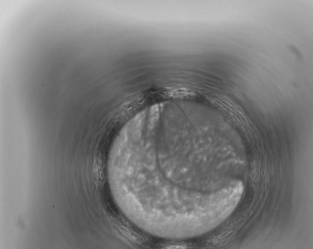 X0000115410653200912011226