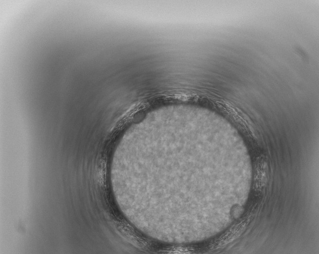 X0000115410656200912011226