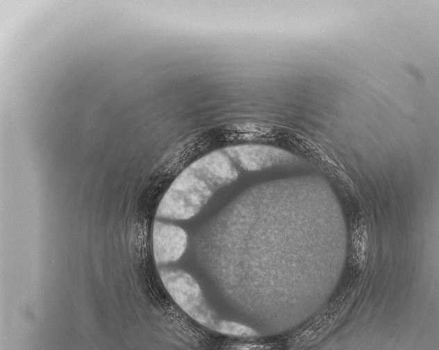 X0000115410657200912011226