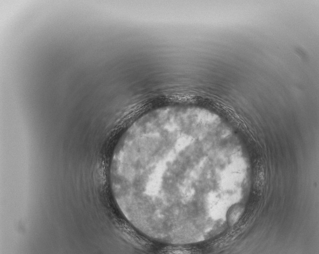 X0000115410658200912011226