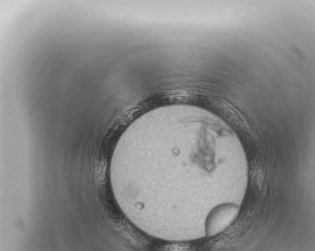 X0000115410660200912011226