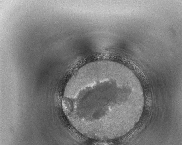 X0000115410661200912011226