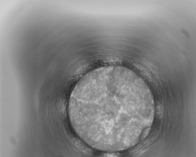 X0000115410662200912011226