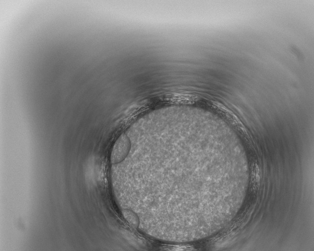 X0000115410663200912011226