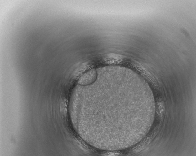 X0000115410664200912011226