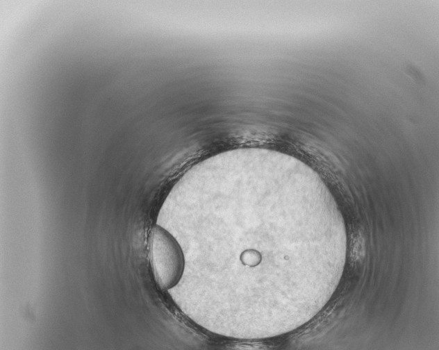 X0000115410666200912011226