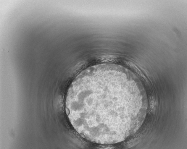 X0000115410667200912011226