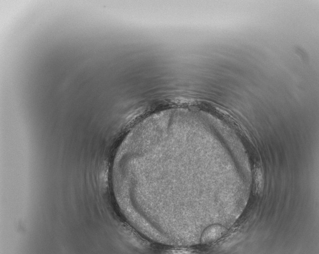 X0000115410668200912011226