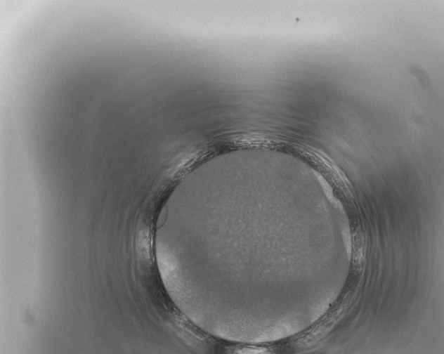 X0000115410669200912011226