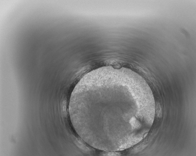 X0000115410670200912011226