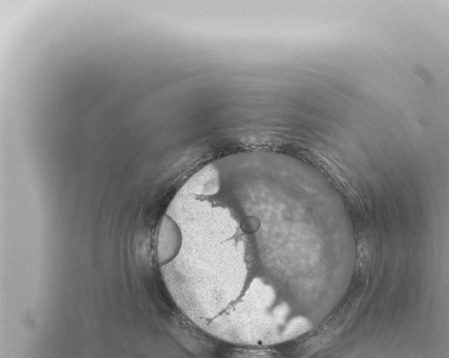 X0000115410671200912011226