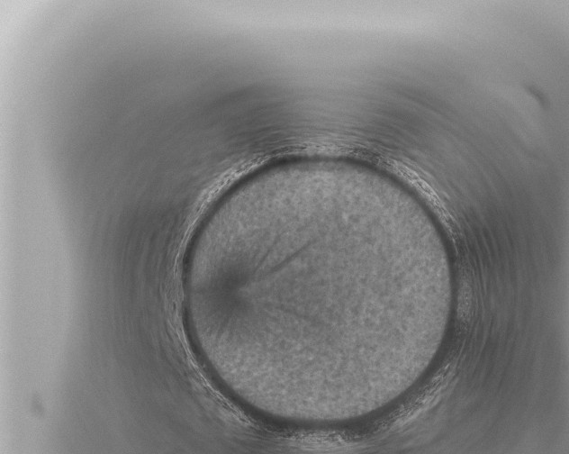 X0000115410673200912011226