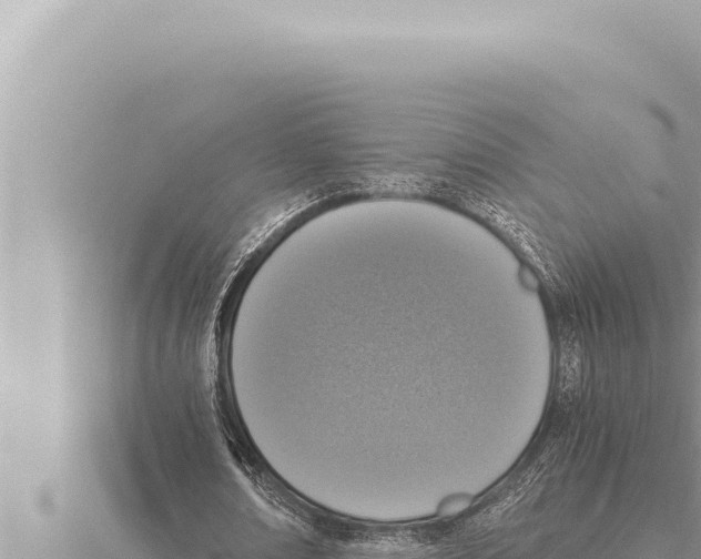 X0000115410674200912011226