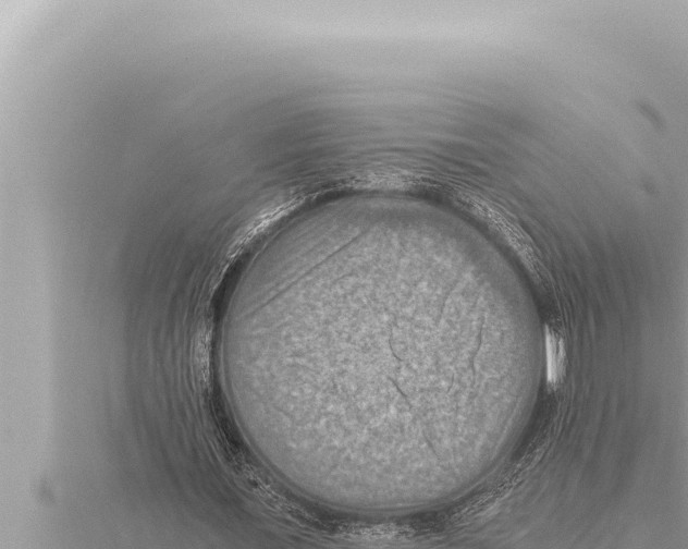 X0000115410675200912011226