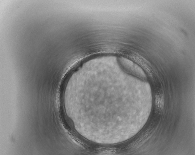 X0000115410676200912011226