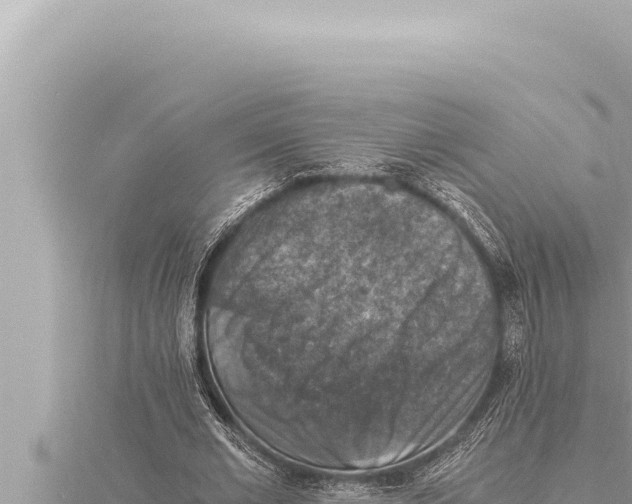 X0000115410677200912011226